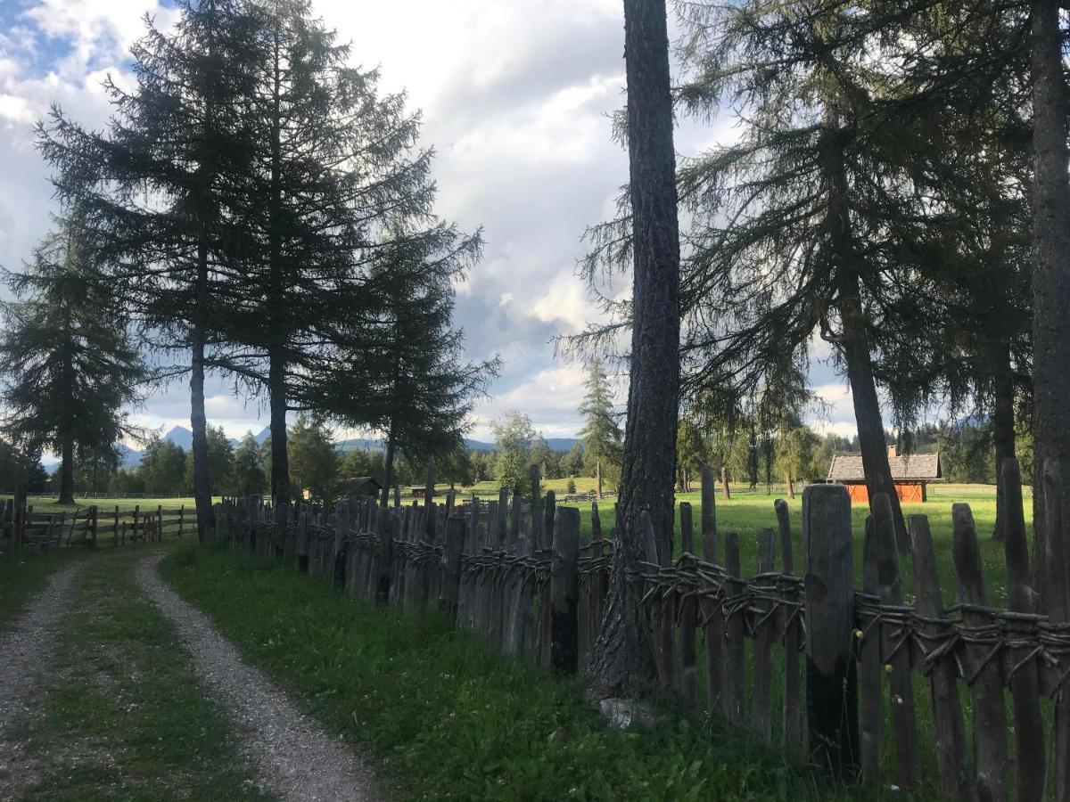 Beckenbinder Apartement Latemar San Genesio Atesino Esterno foto